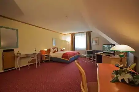 Luitpoldpark-Hotel - 49