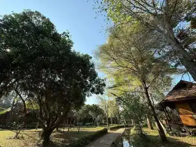 Baan Krating - Sha Plus - 70