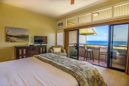 Kapalua Villas Maui - 259
