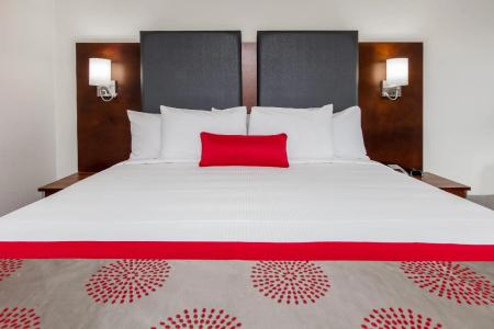 Ramada by Wyndham Austin South - 30
