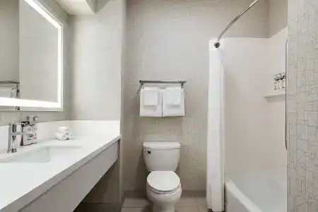 Holiday Inn Express & Suites Central - 45