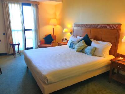 Mercure Leonardo da Vinci Rome Airport - 60