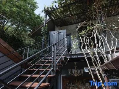 Bangkok Oasis - 101