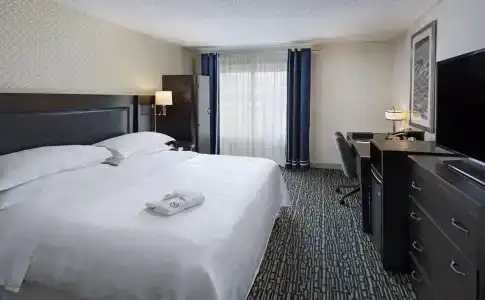 Sheraton Bellevue - 2