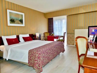 Golden Tulip de’ Medici - 46