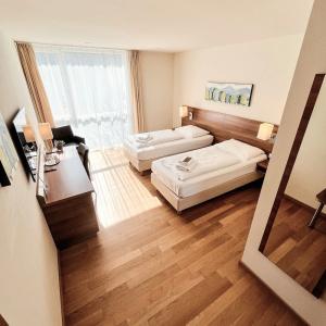 FairDornbirn - 41