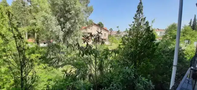 Tango Pension - 8