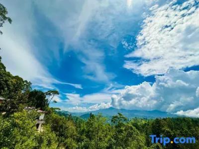 The Ella Nature Life Guest Inn - 74