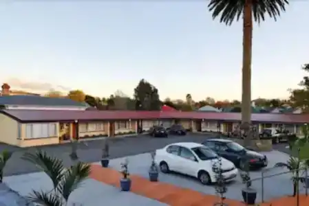 Phoenix Palm - 9