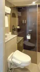 Centum Premier - 36