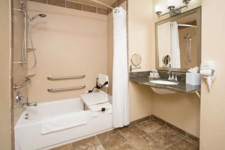 Holiday Inn & Suites Downtown, an IHG - 9
