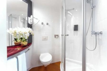 Golden Tulip ParkNeu-Ulm - 38