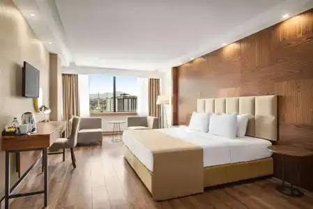 Serra Samsun Otel - 6