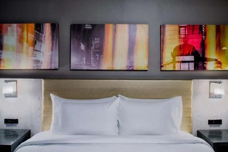 Doubletree By Hilton New York Times Square West - 57