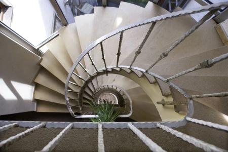 AltstadtGrauer Wolf - 15