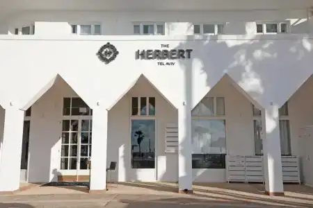The Herbert - 1