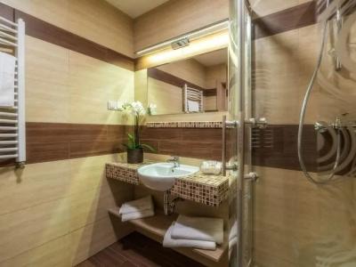 Zakopane Wellness & Spa Ex Korona Tatr - 9