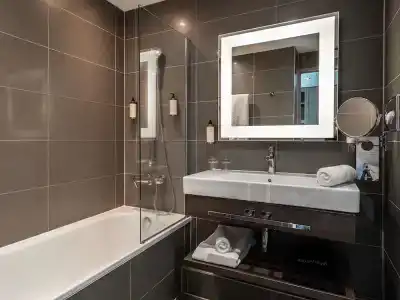 Mercure Clermont Ferrand centre Jaude - 113