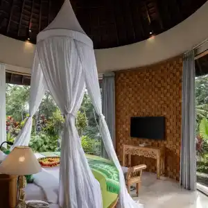 The Alena a Pramana Experience - 48