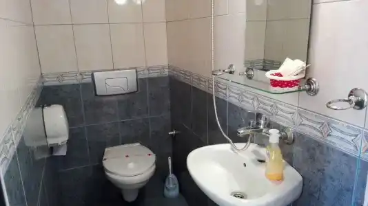 Скоти - 7