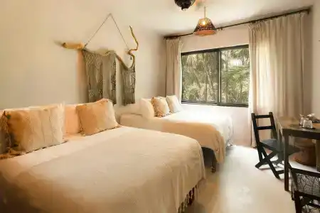 Nest Tulum - 3
