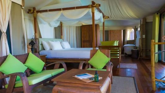 9 Hornbills Tented Camp - Sha Plus - 49