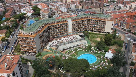 Samba - 20