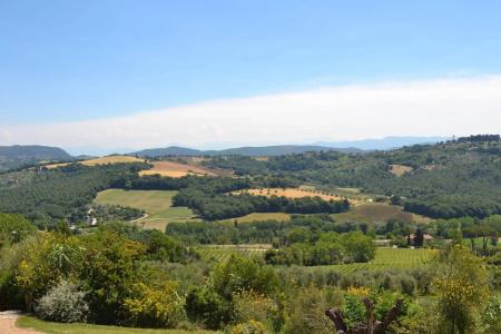 Tenuta Pizzogallo - 18