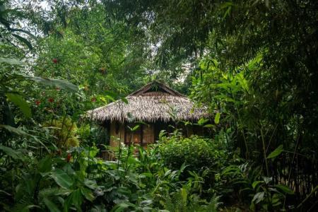 Our Jungle Camp - Eco Resort Sha Certified - 26