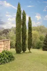 Le Mas de Castel - 31