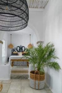 Euphoria Chora Naxos - 72