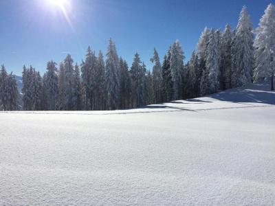 Der Alpenblick - 10