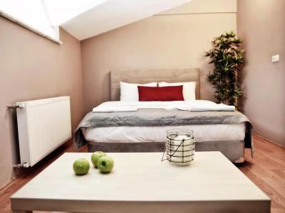 Akin Suites - 1