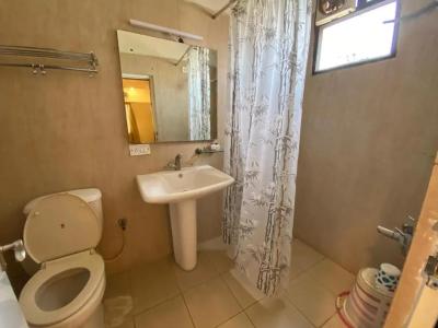 The Bouvice - 29