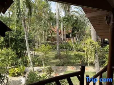 Morning Star Resort - 144