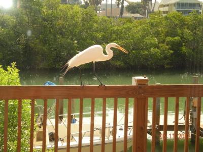 A Beach Retreat on Casey Key - 152