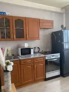 1-комнатная квартира Лукиянова 4а 98 - 12