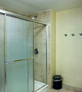 Kitchener Inn & Suites - 48