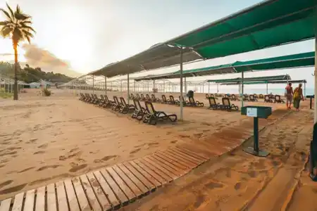 Royal Atlantis Beach - 14