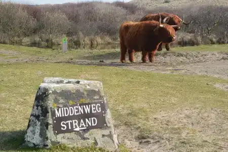 StrandGolfzang - 37
