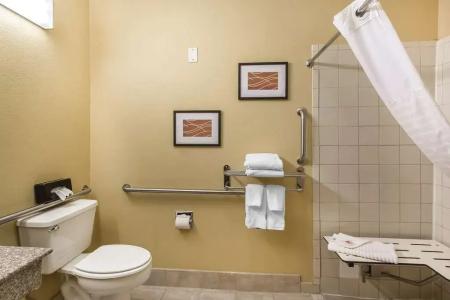 Comfort Inn & Suites - 8