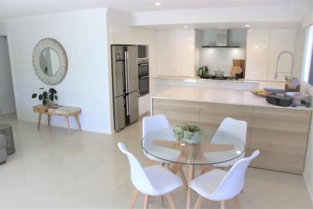 Noosa River Palms - 251