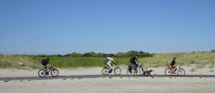Das FrühstücksSankt Peter-Ording - 29