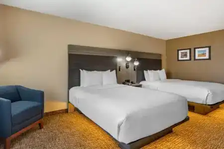 Comfort Inn & Suites North Dallas-Addison - 3