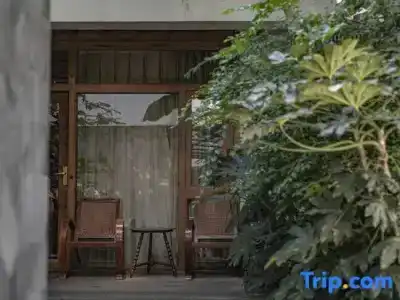 Oasis The Secret Luxury - 44