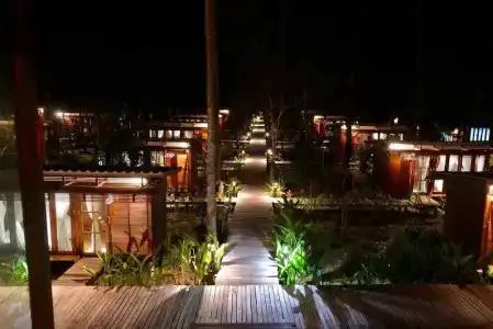 Jungle Koh - 28