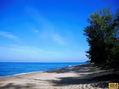 Micky Monkey Beach Phuket Maikhao Thailand - 4