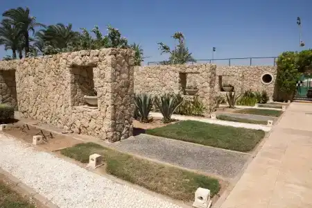 Reef Oasis Beach Resort - 17