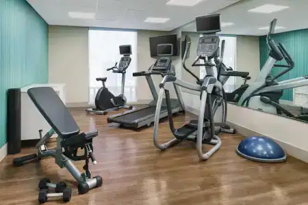 Holiday Inn Express & Suites-Yosemite Park Area, an IHG - 11