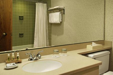 Holiday Inn - Portland - Columbia Riverfront, an IHG - 10